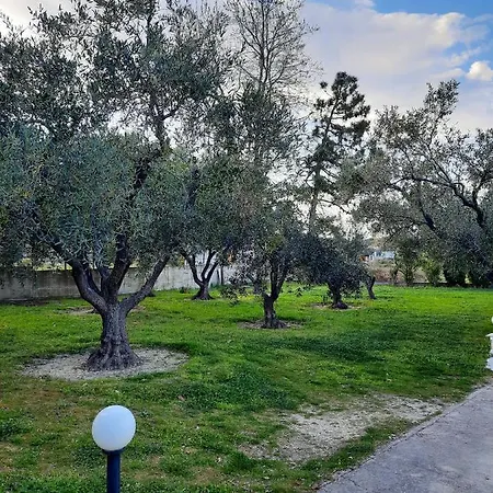 Aktaia *