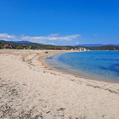 Aktaia *