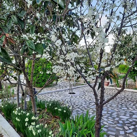 Aktaia Holiday home